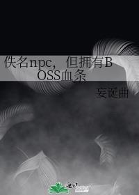 佚名npc，但拥有BOSS血条