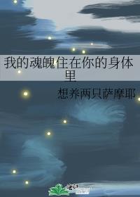 我的魂魂是什么