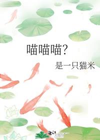 小猫小猫你别吵