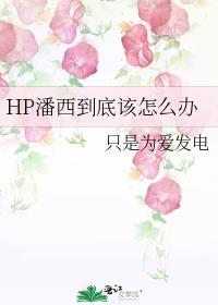 hp潘西小说