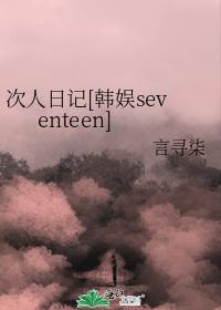 次人日记[韩娱seventeen]