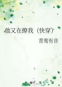 他又在撩年级第一了txt