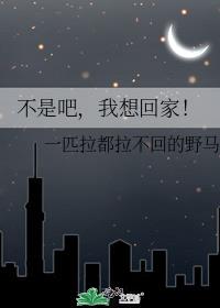 我不是你一定要回来