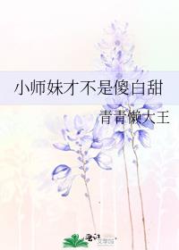 小师妹才不是傻白甜南宫小说