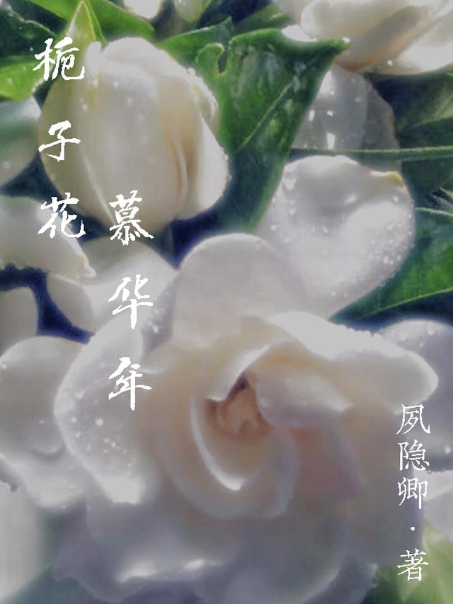 作者栀子花小说全集