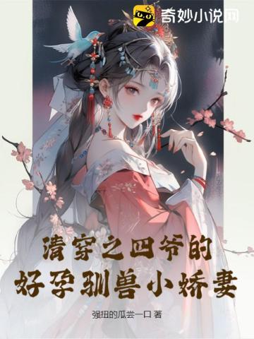 《清穿之四爷宠妃》