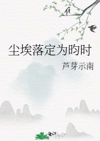 尘埃落定是什么意思