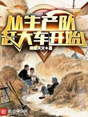 从生产队赶大车开始无防盗