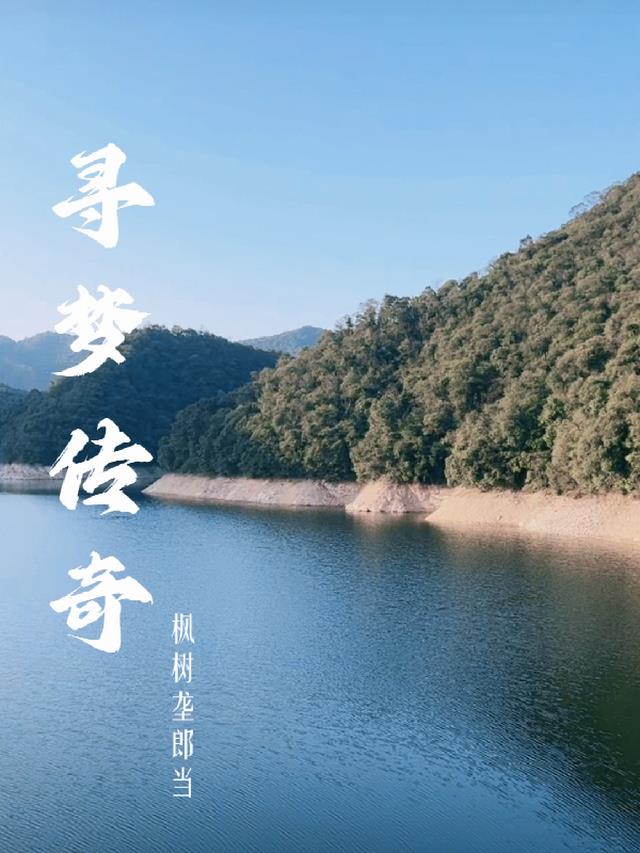 寻梦科技是哪家公司