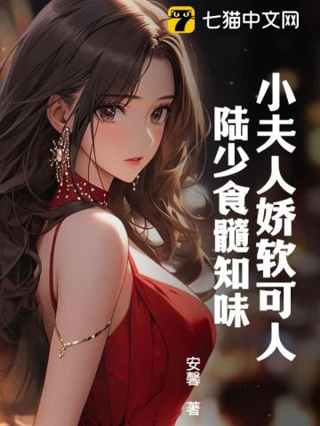 小夫人陆衍