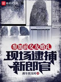 刑警日志无错版