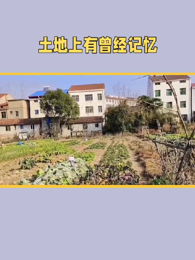 曾经在这片土地上