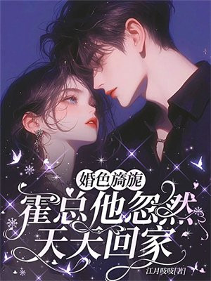 婚途漫漫:霍先生