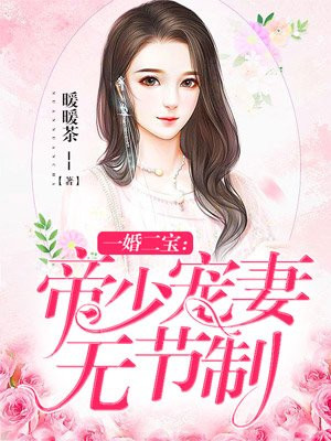 一婚二宝:帝少宠妻无节制书楼屋小说