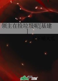 《领主》小说