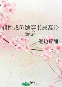 颜控系统[快穿