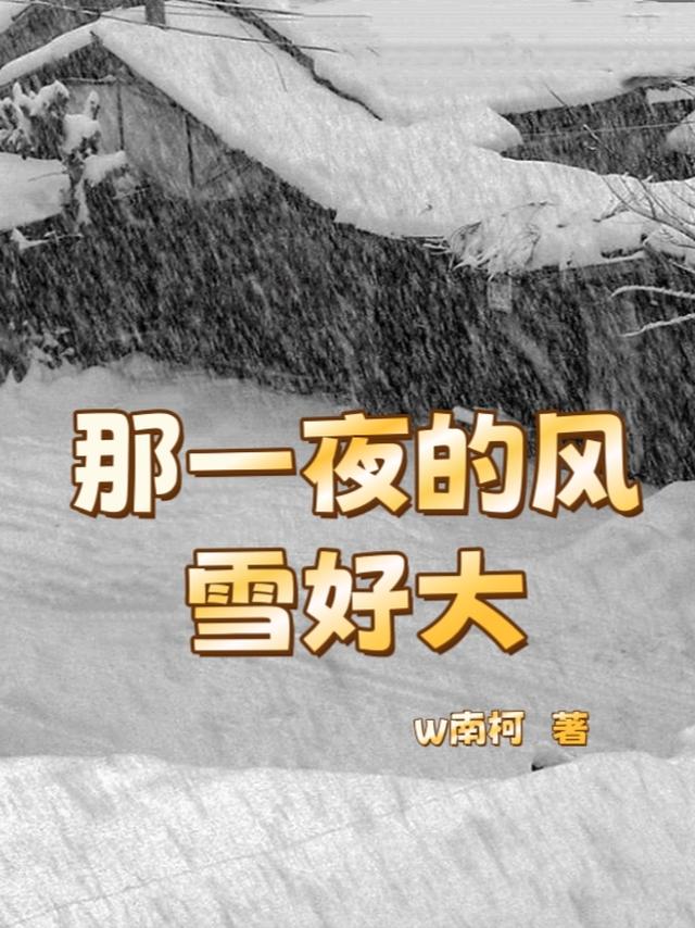 那一夜的风雪好大是什么歌