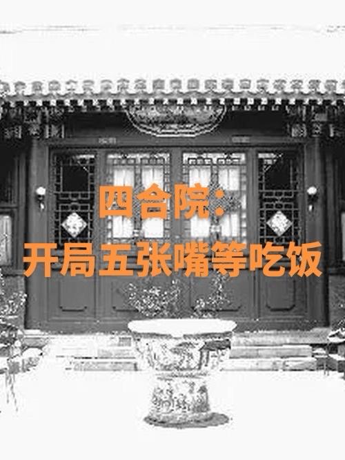 四合院开局五张嘴等吃饭下载TXT