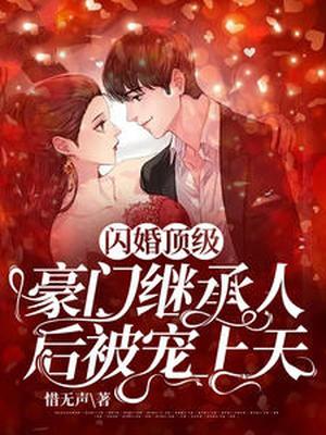 闪婚之豪门宠妻