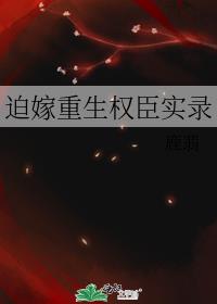 迫嫁王妃全文免费下载