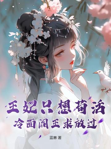 王妃要休夫 小说