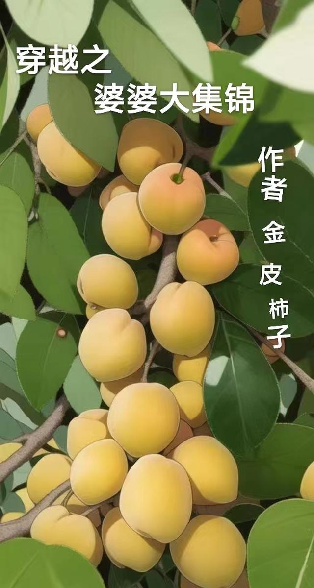 穿越之婆婆大集锦有声小说