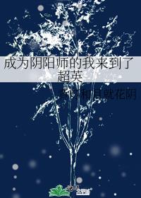 我成为阴阳师的那些年