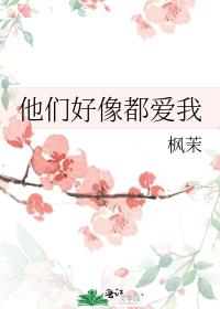 他们好像都爱我小说