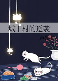 城中村描述