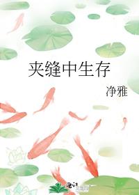 夹缝中求生存 求发展